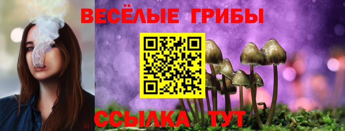 Галлюциногенные грибы MAGIC MUSHROOMS Острогожск