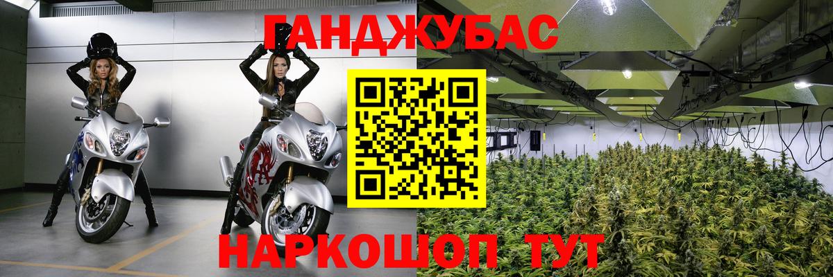 Шишки марихуана план  Вход с VPN  Канабис конопля  Шишки марихуана план  Острогожск 